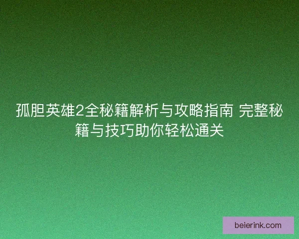 孤胆英雄2全秘籍解析与攻略指南 完整秘籍与技巧助你轻松通关