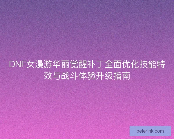 DNF女漫游华丽觉醒补丁全面优化技能特效与战斗体验升级指南