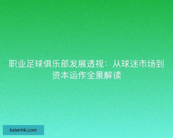 职业足球俱乐部发展透视：从球迷市场到资本运作全景解读