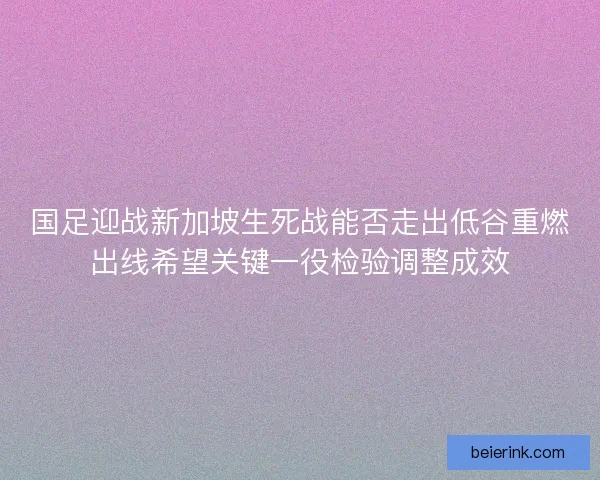 国足迎战新加坡生死战能否走出低谷重燃出线希望关键一役检验调整成效